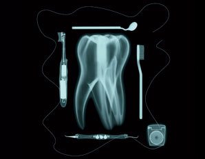 routine dental check ups